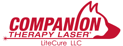 Laser Therapy logo