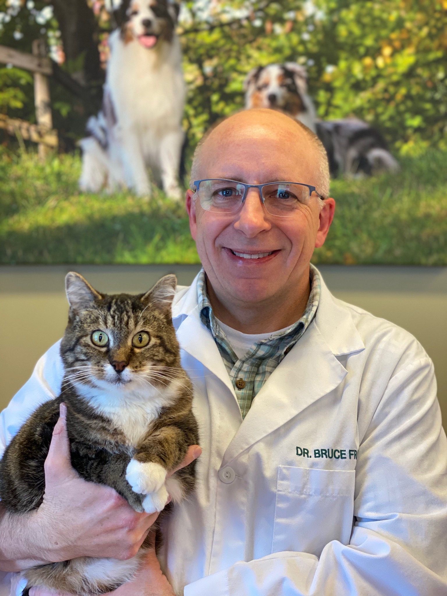 Veterinarian in Bay County, MI | Bay Animal Hospital
